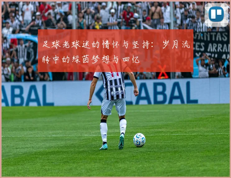 足球老球迷的情怀与坚持：岁月流转中的绿茵梦想与回忆