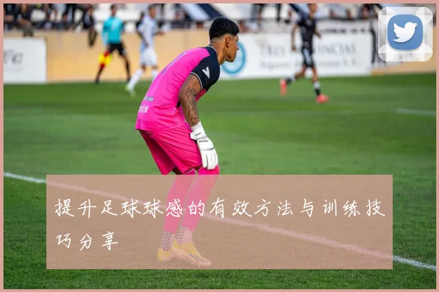 提升足球球感的有效方法与训练技巧分享