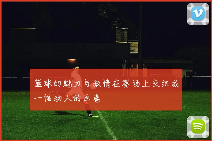 篮球的魅力与激情在赛场上交织成一幅动人的画卷