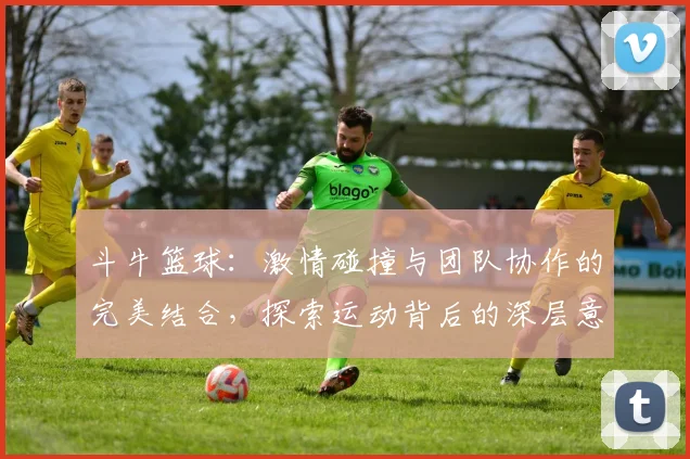 斗牛篮球：激情碰撞与团队协作的完美结合，探索运动背后的深层意义与魅力