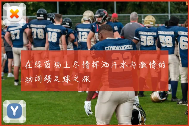在绿茵场上尽情挥洒汗水与激情的动词踢足球之旅