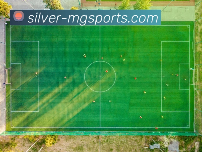 满贯体育APP 封面图